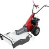 eurosystems minieffe m150 rm tondeuse débroussailleuse thermique lame b&s 625 exi - Machines territoires eurosystems minieffe m150 rm tondeuse débroussailleuse thermique lame b&s 625 exi