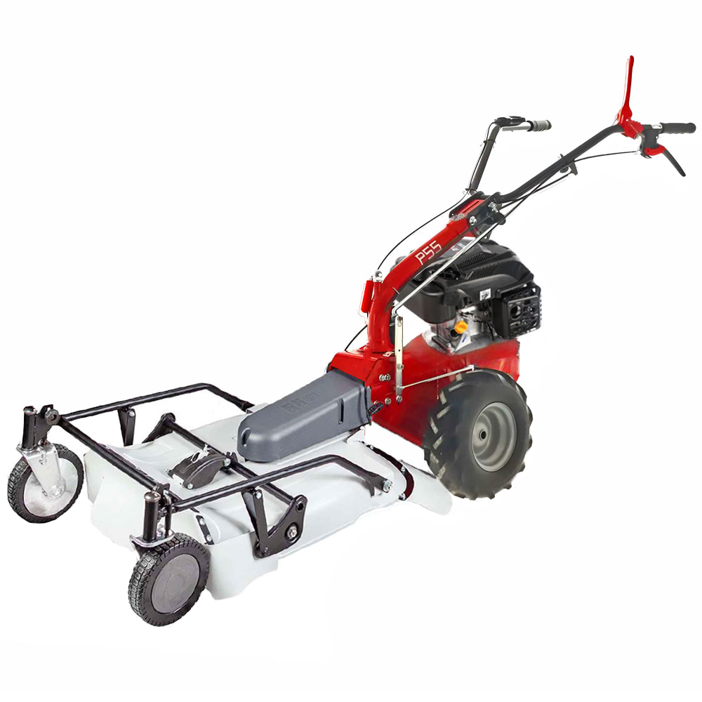 eurosystems p55 tondeuse débroussailleuse thermique faucheuse pro v2 rato rv200 eurosystems p55 tondeuse débroussailleuse thermique faucheuse pro v2 rato rv200
