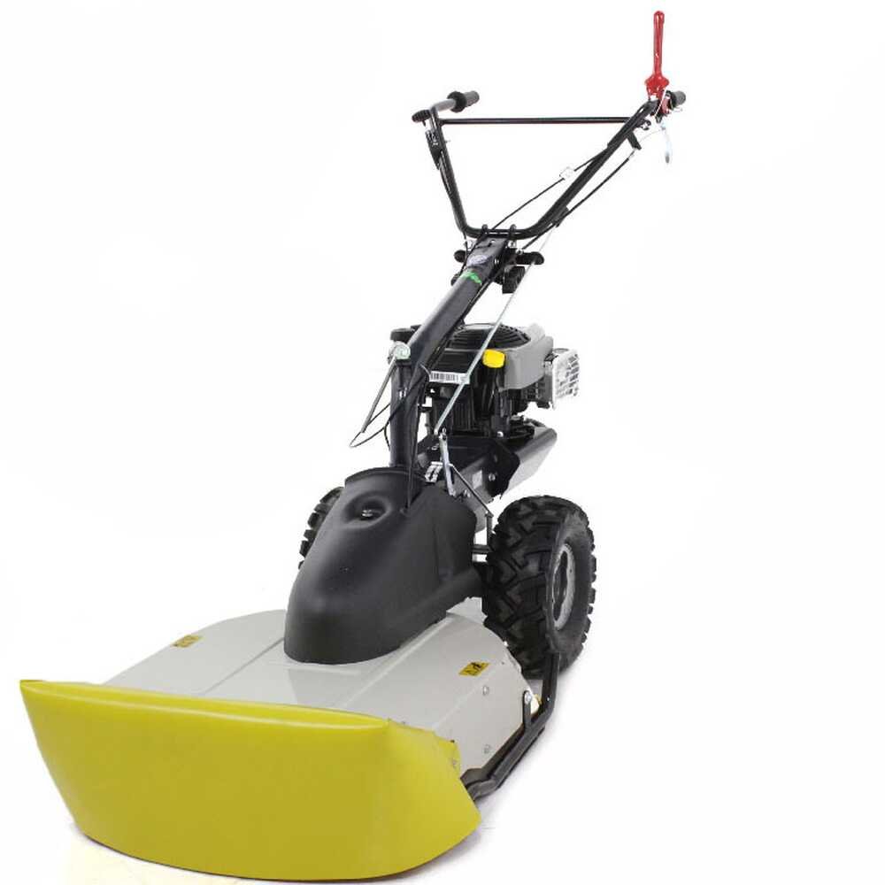 eurosystems tm 70 rb evo tondeuse débroussailleuse thermique lame b&s 850e i/c eurosystems tm 70 rb evo tondeuse débroussailleuse thermique lame b&s 850e i/c