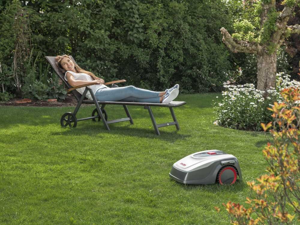 robolinho al ko 800 w robot tondeuse avec câble périphérique robolinho al ko 800 w robot tondeuse avec câble périphérique